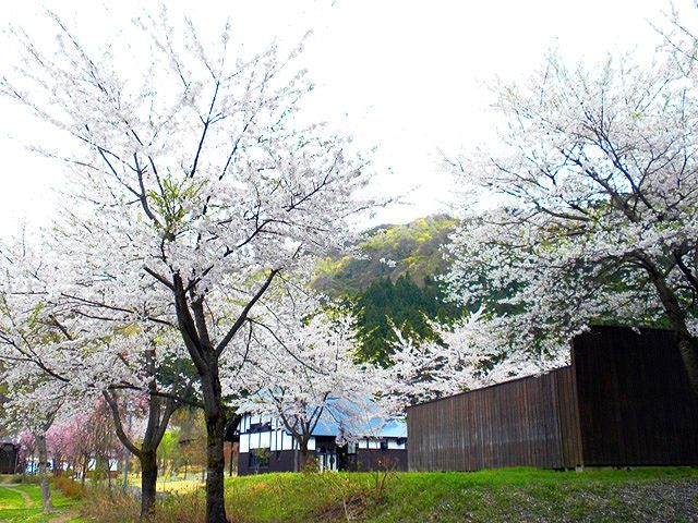 八海山醸造