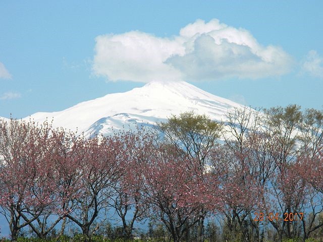 雪に覆われた鳥海山